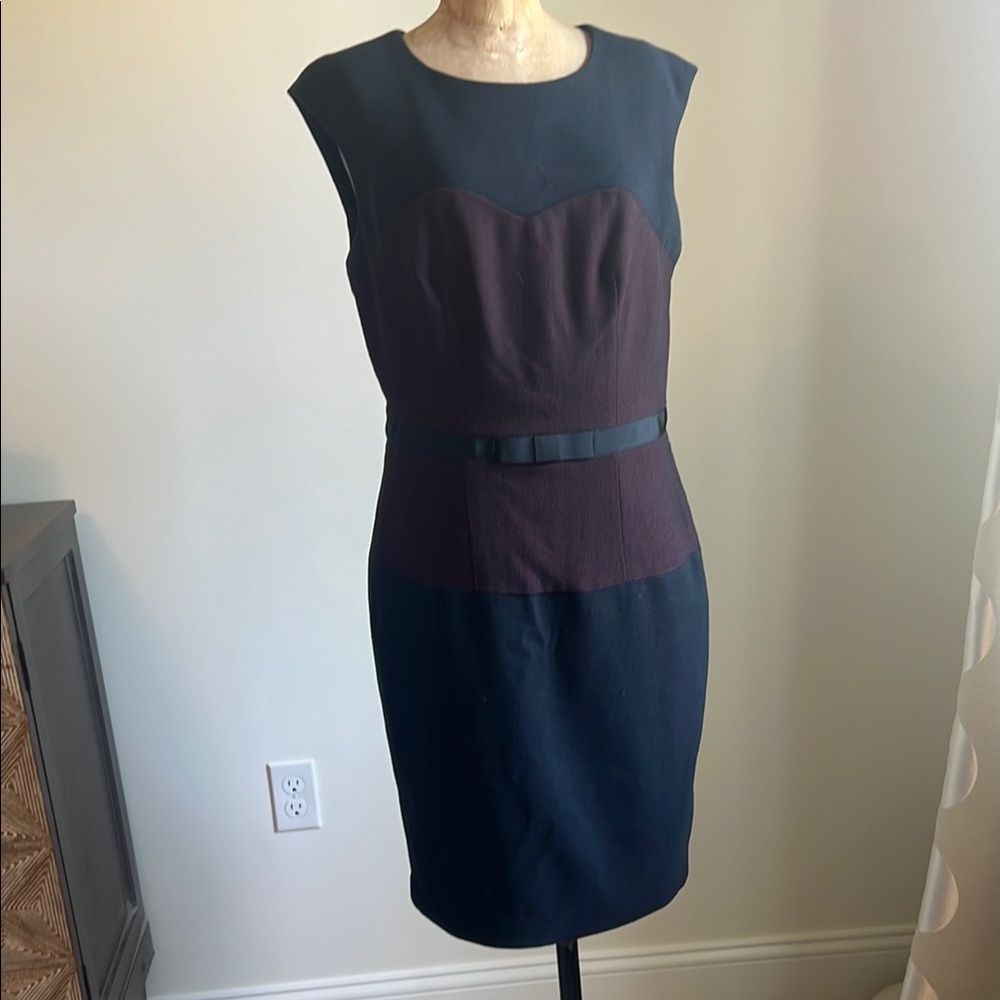 Elegant Black and Dark Red Women's Dress